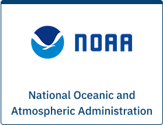 Background+Border-19